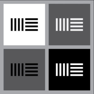 ElectronicCows