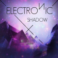 Electronic Shadow