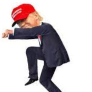 ELFME