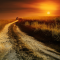 THE END OF THE WAY