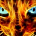 eligonz1123_gmail_com
