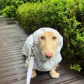 elys_official