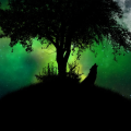 EmeraldKilller