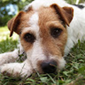 emmabeau316_gmail_com