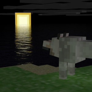 enderdog444