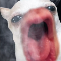 Enderthekidd22