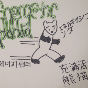 EnergeticPanda