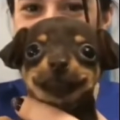ErenYeagerREALLIKEACTUALLY