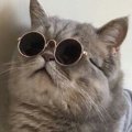 ErikaVilimandead23