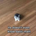 ermmwhattheflip