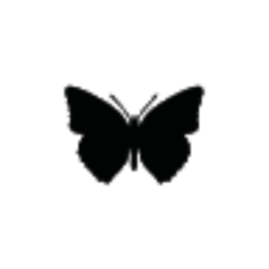 esmee_vanbogget_gmail_com