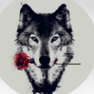 ESSOR
