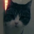 estebanlvl92