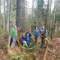 Young Hochwald