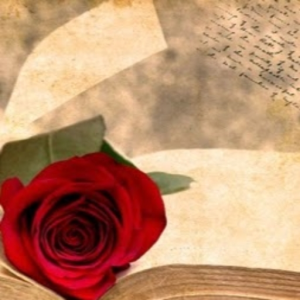 EverRose