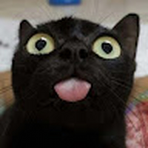 EvilCookie