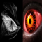 Eyesofthebeholder