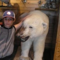 ezz_wolf_online