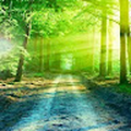 falconizaguirrerafael_gmail_com