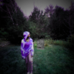 FallLeaves