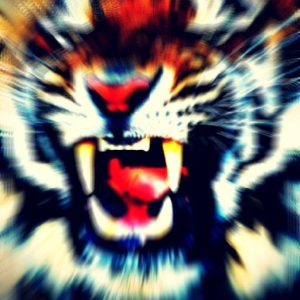 fangs