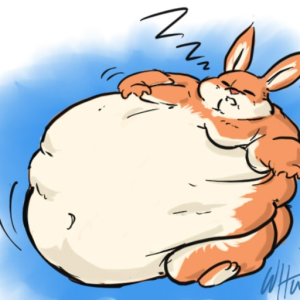fatbunny123