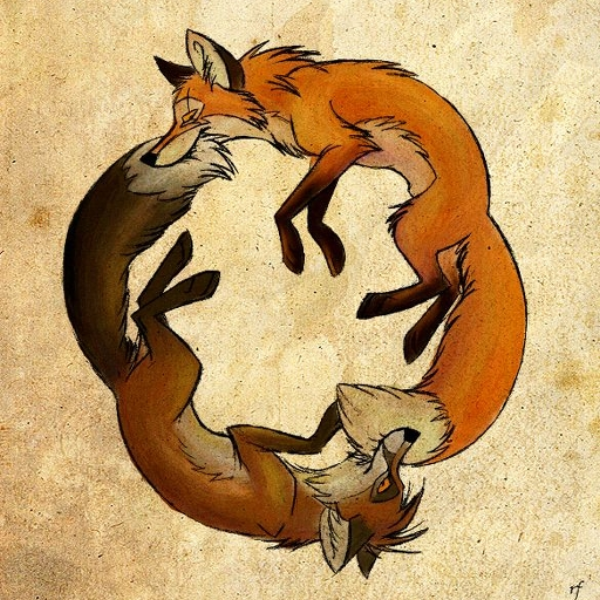 felinity