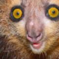 fhufdufwue