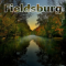 Fieldsburg