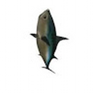 Finalfish