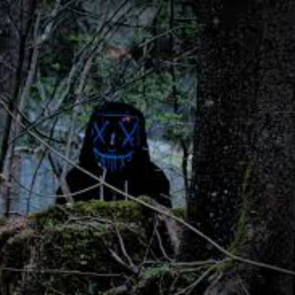 Findmeout