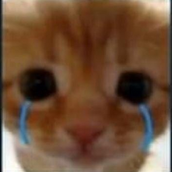 finngabez
