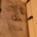 finnyboy08