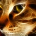 FireJbrix