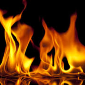 FirePrint