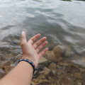 fishbxrn