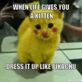 Flatkitty