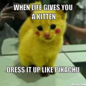 Flatkitty