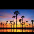 Flo_rida_guy