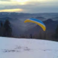 florjancic_sp_gmail_com