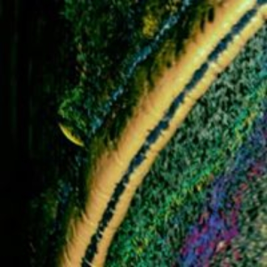FlowState