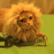 Fluffy111