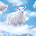 Flyingsheep