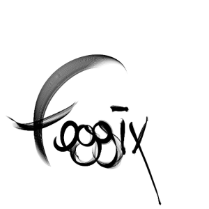 Foggix