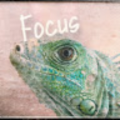 foofero