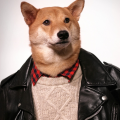 ForeverNiceFox