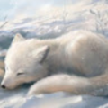 foxshadow