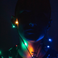 frank_davinci_p