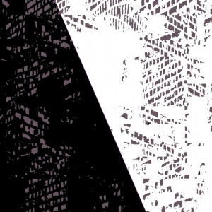 White Dot