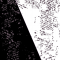 White Dot
